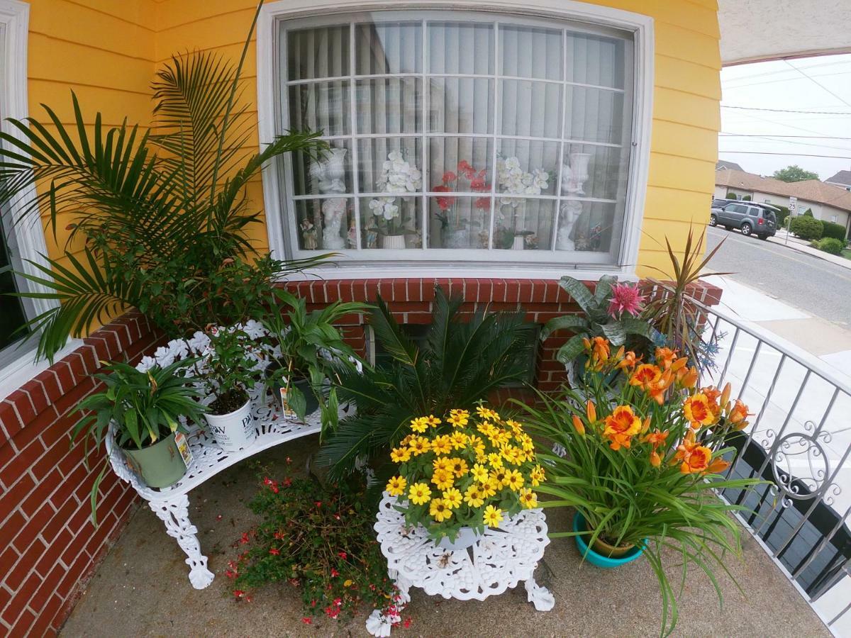 Sea Chest Motel Dot Com Wildwood Crest Exteriör bild